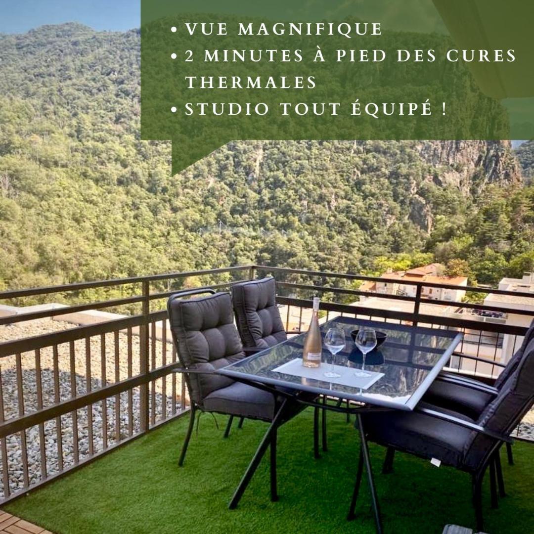 Studio Tout Equipe Amelie-les-Bains-Palalda Ngoại thất bức ảnh